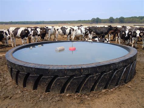 livestock water float.